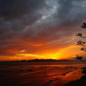 八重神子裸体❌开腿网站
